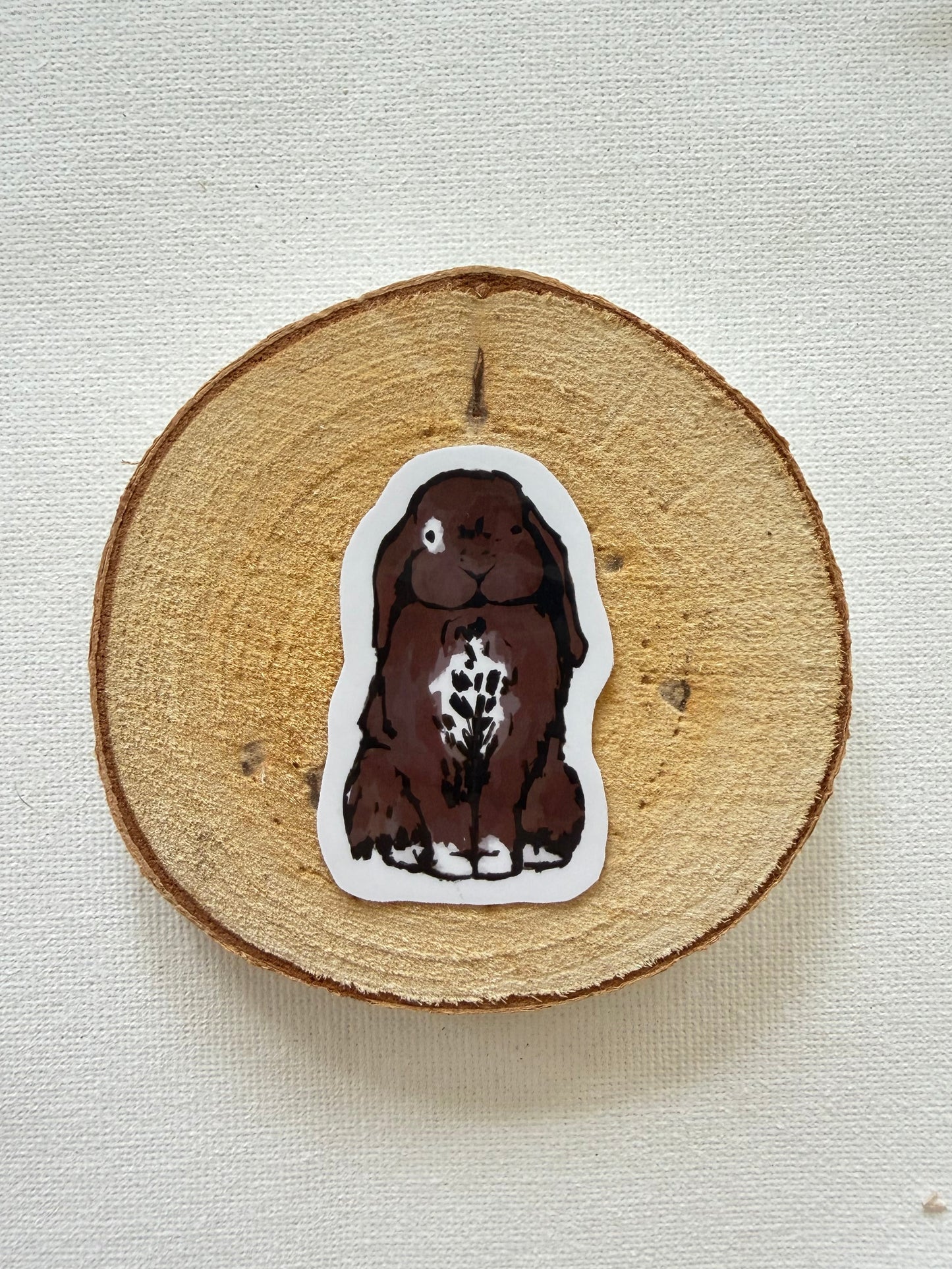 Rabbit - Brown & variations
