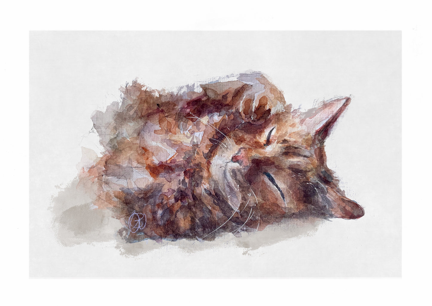'Lounging in the sun rays' Cat