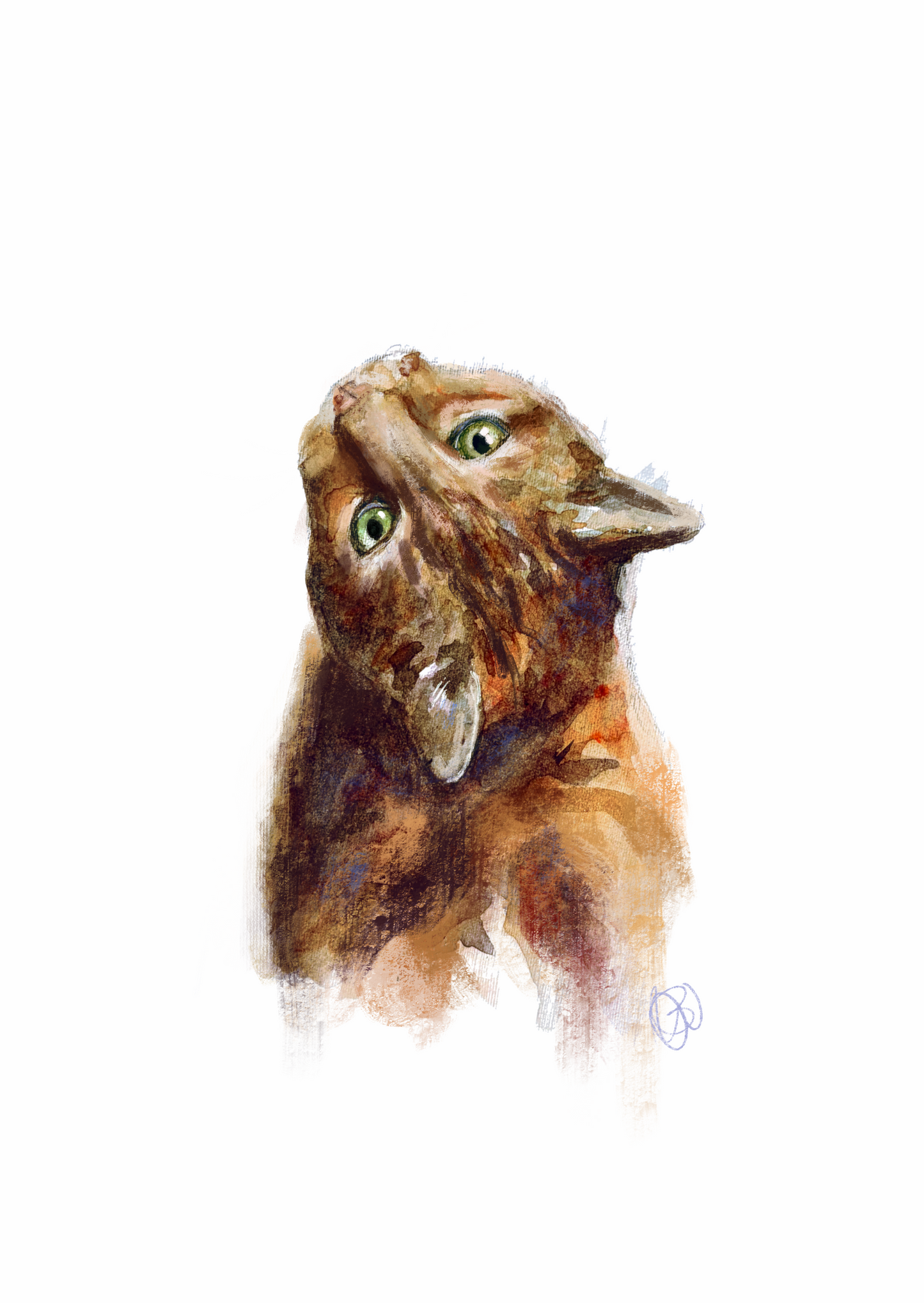 'Curious' Cat