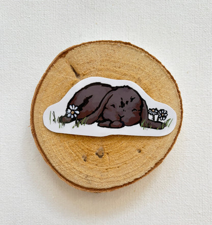 Meadow bunnies