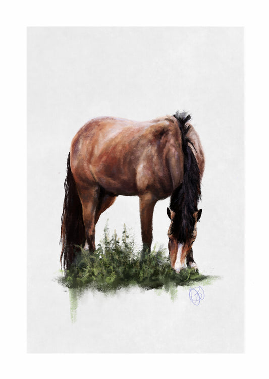 'Peacefully eating' Bay Horse