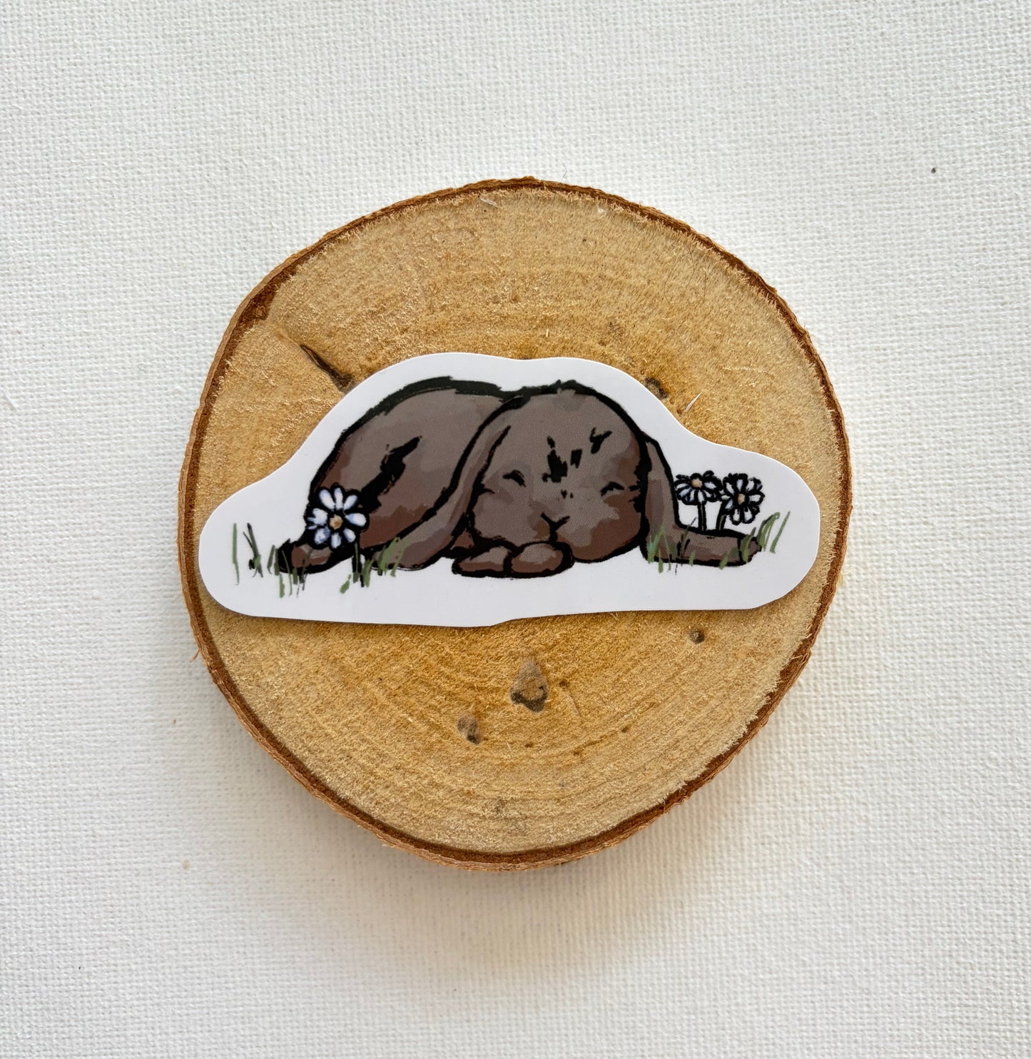 Meadow bunnies