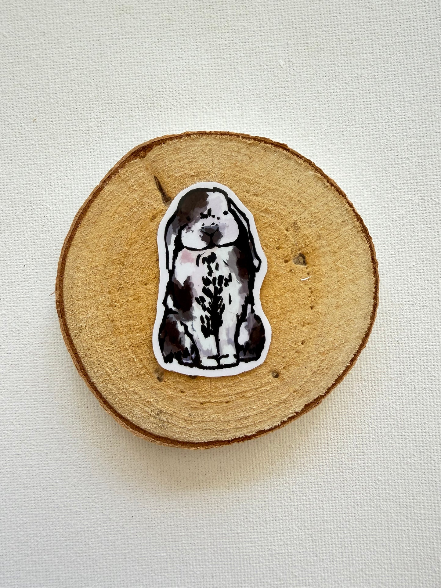 Rabbit - White & variations