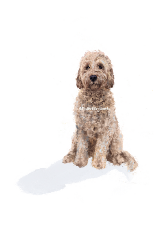 Cockapoo ~ Print
