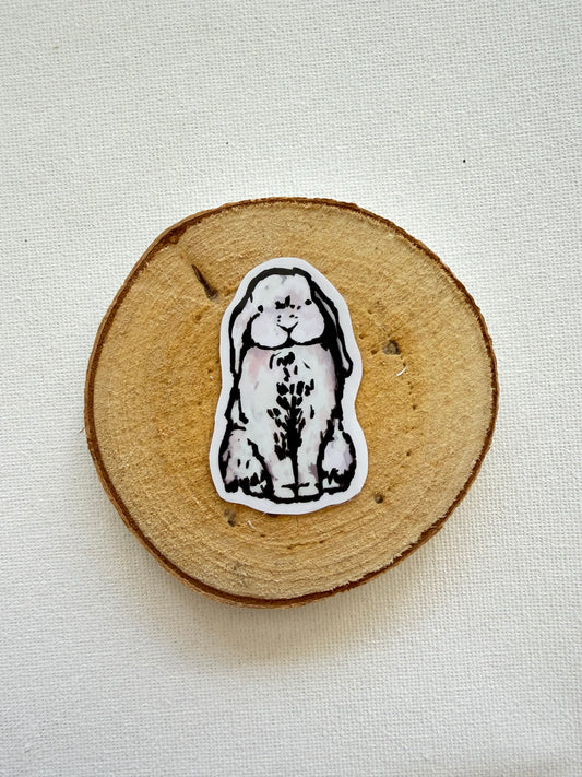 Rabbit - White & variations