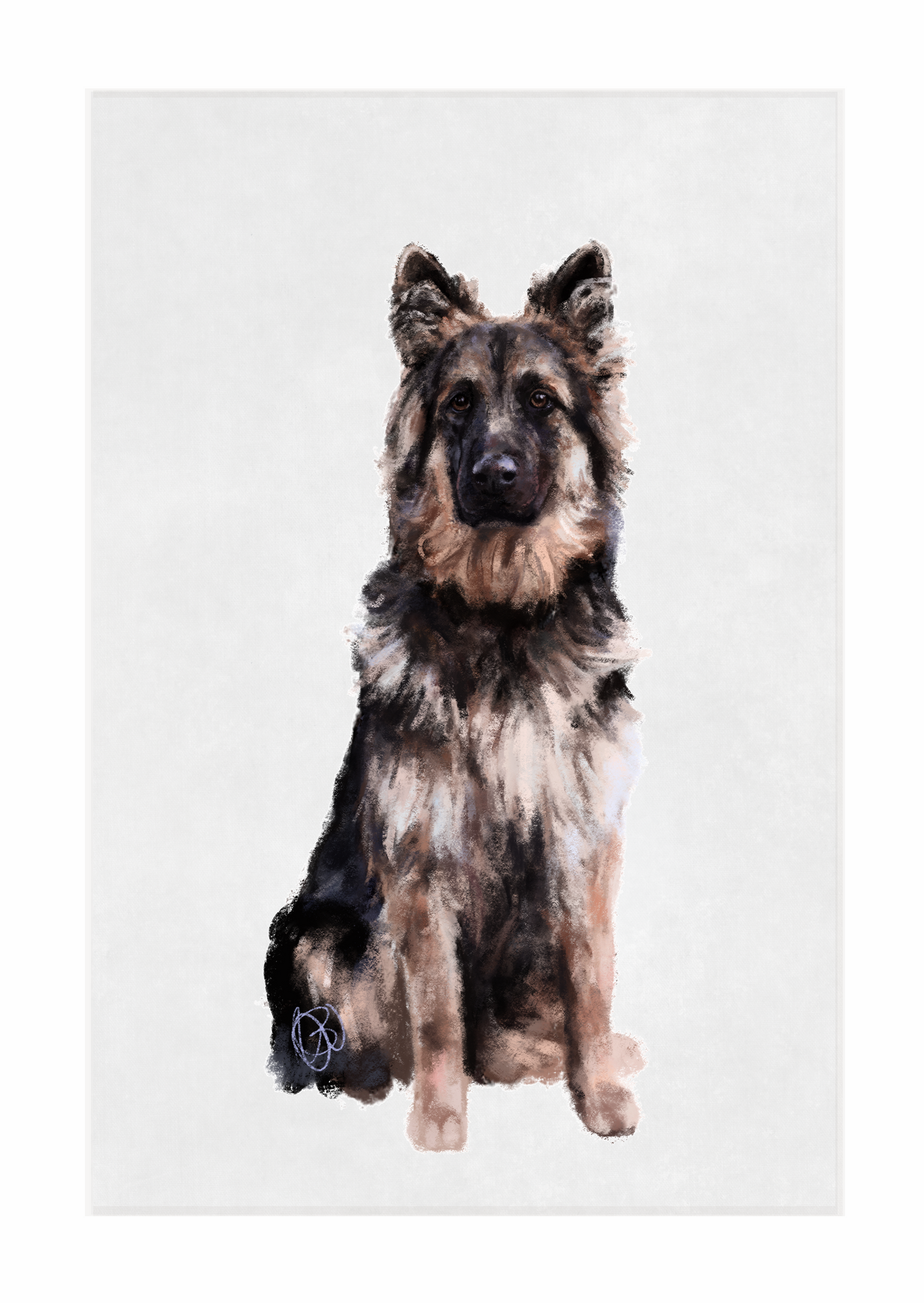 'Waiting' German Shepard