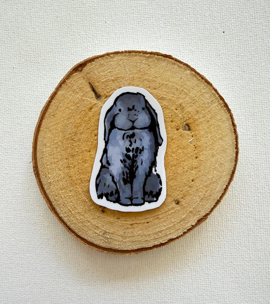 Rabbit - Gray & variations