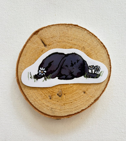 Meadow bunnies