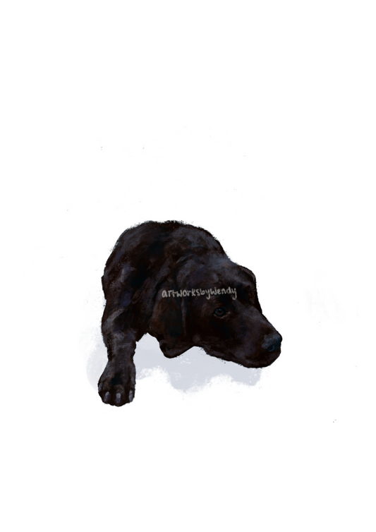 Hand-drawn Chocolate Labrador in ranging sizes (A5, A4)