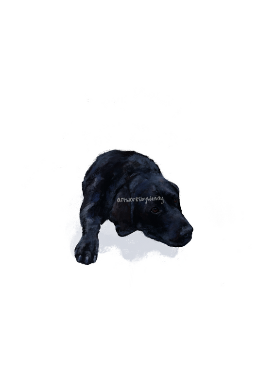 Hand-drawn Black Labrador in ranging sizes (A5, A4)