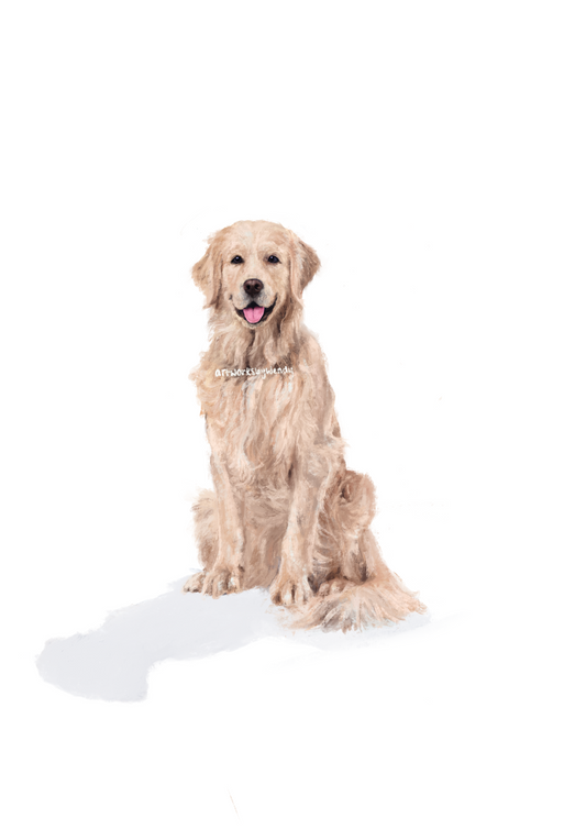 Hand-drawn Golden Retriever in ranging sizes (A5, A4)