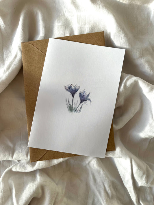Crocus