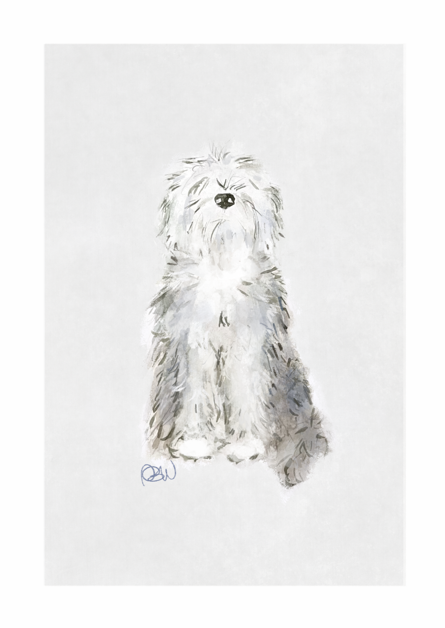 Old English Sheepdog