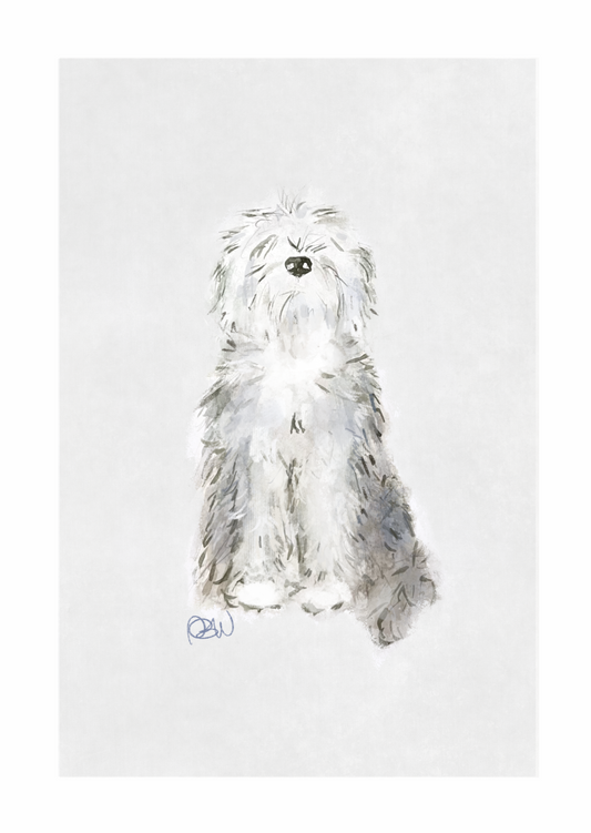 Old English Sheepdog